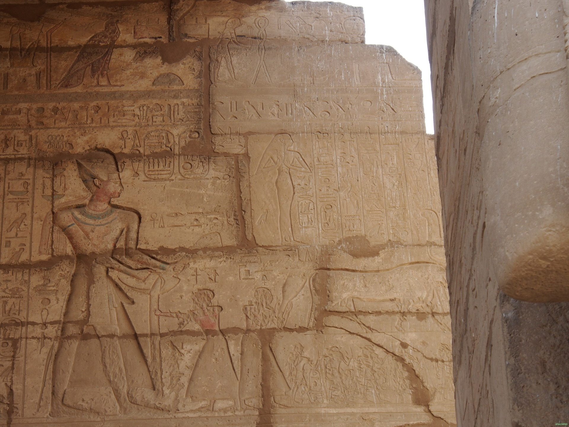 ネフェルタリ墓(第19王朝,QV66) Nefertari 概要: ルクソールの風 ネフェルタリ墓(第19王朝,QV66) Nefertari 概要: ルクソールの風